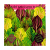 Baby Radicchio Blend Seeds Art Pack