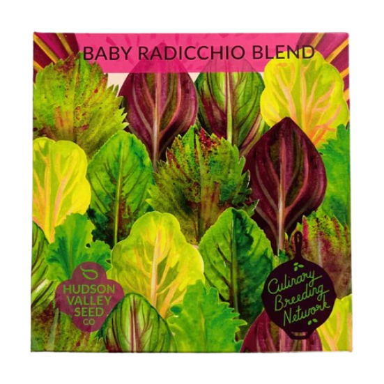 Baby Radicchio Blend Seeds Art Pack