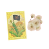 Dandelion Seed Packet