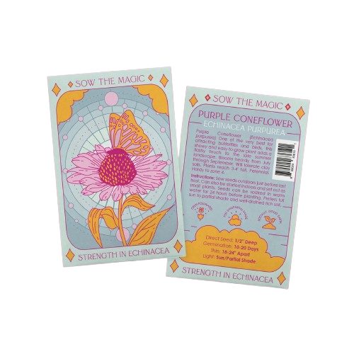 Strength In Echinacea Seed Packet