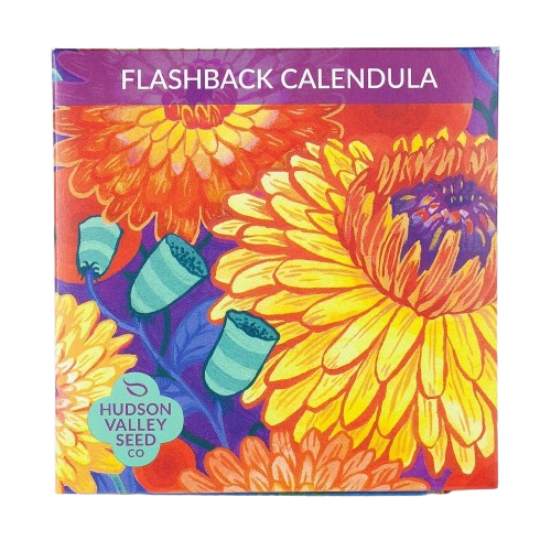 Flashback Calendula Mix Seeds Art Pack