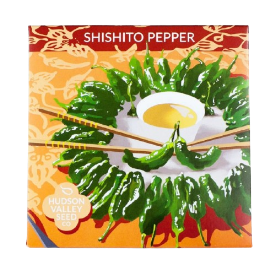 Shishito Pepper Seeds Art Pack