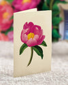 Peony Paradise FreshCut Paper Bouquet