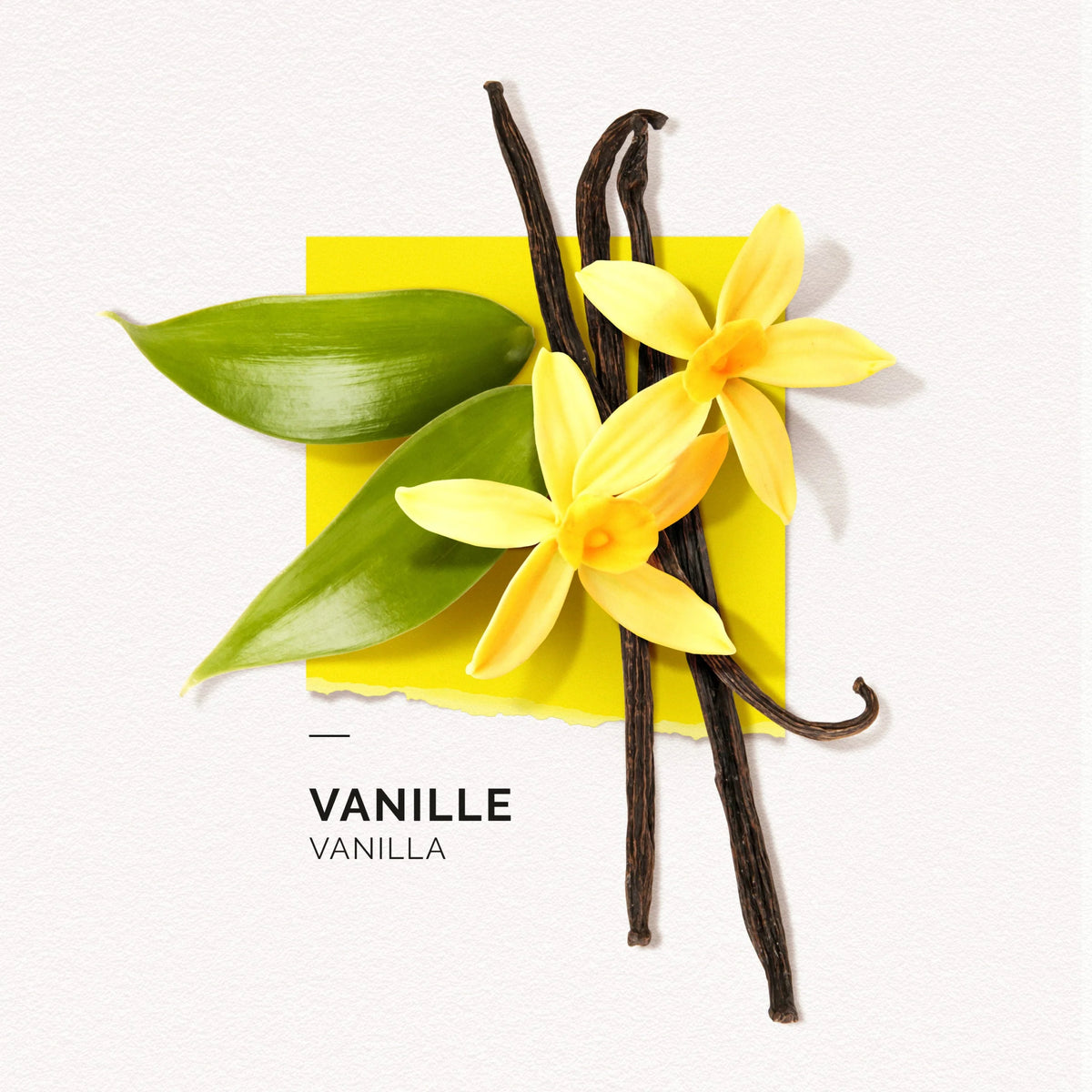 Vanille 15ml Solinotes Eau de Parfum