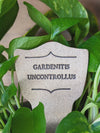Gardenitis Uncontrollus Garden Stake