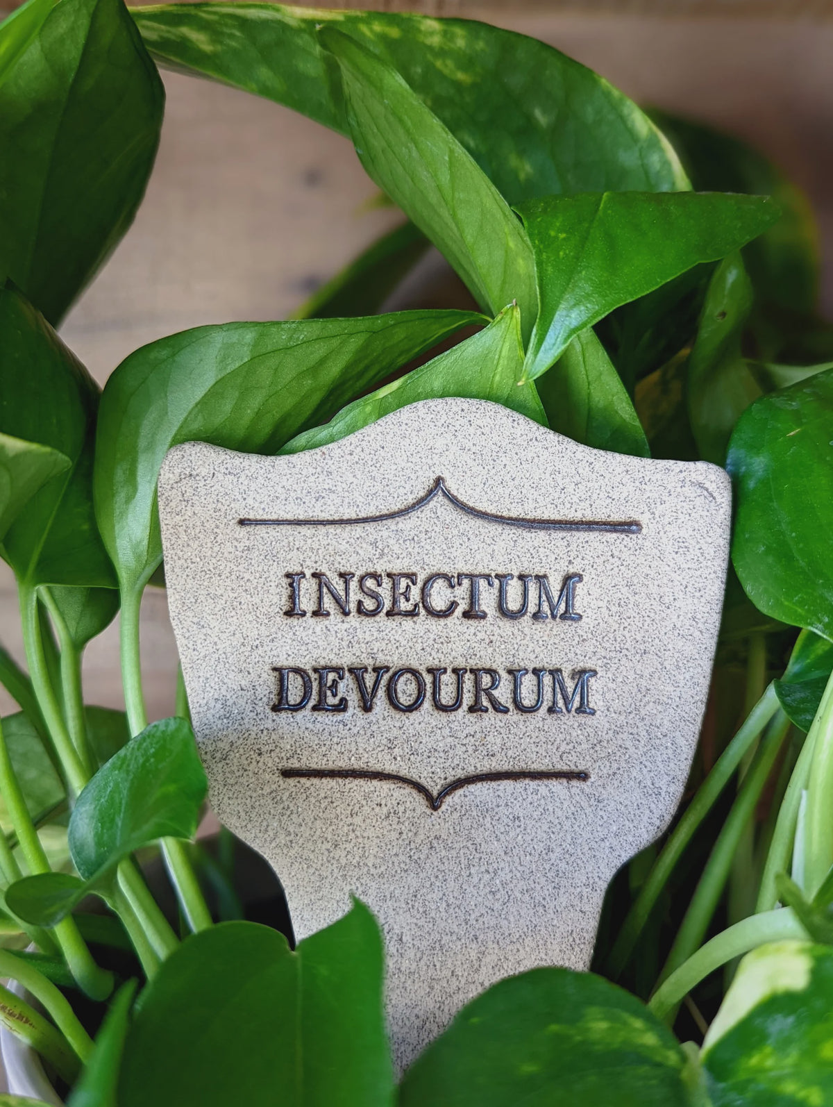 Insectum Devourum Garden Stake