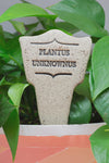 Plantus Unknownus Garden Stake