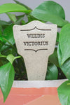 Weedis Victorius Garden Stake