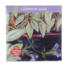 Common Sage Seeds Art Pack